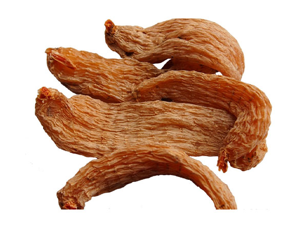 华夏北方-贵州天麻的历史渊源：从古至今，都是珍贵的养生佳品！